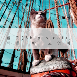 쉽 캣(Ship's cat), 배를 탄 고양이