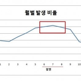 당신도 고양이를 잃어버릴 수 있다, 예방법은?