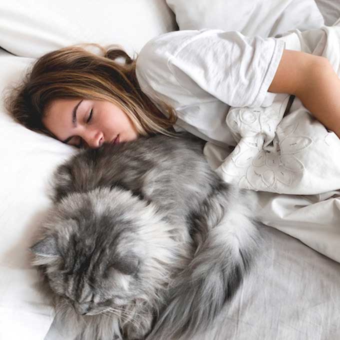 고양이 집사 신경 안정제는 반려묘, 고양이랑 같이 자면 좋은 점 5