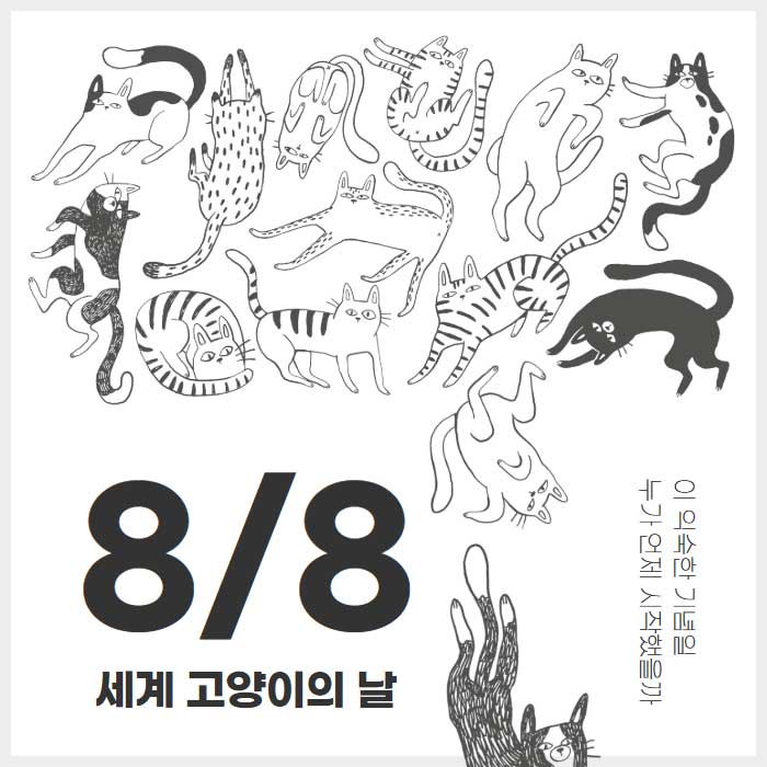 8월 8일 세계 고양이의 날...오늘만큼은 세상 모든 고양이를 위해