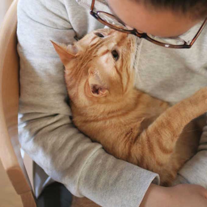 간식, 캣닢보다 냥님이 좋아하는 것은 바로 '당신'