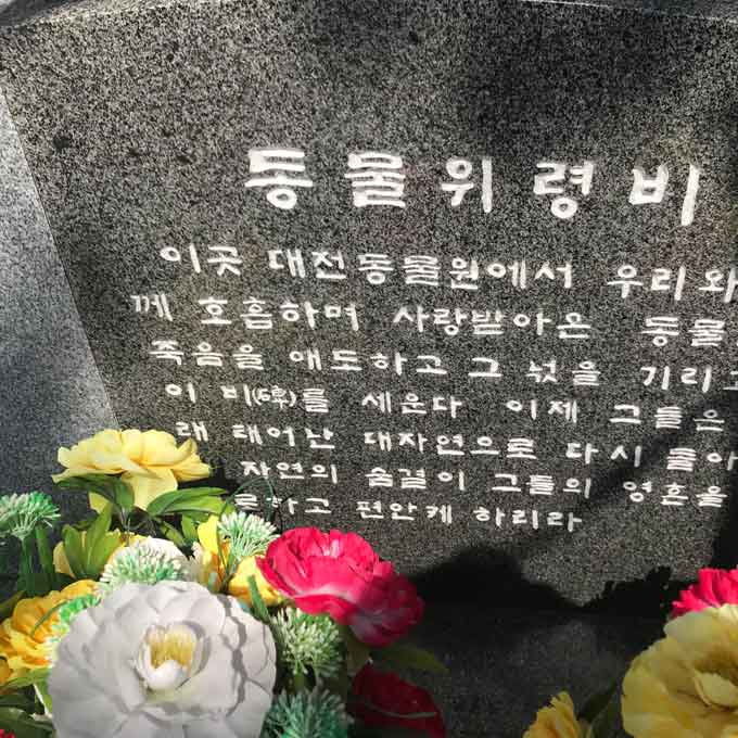 대전 오월드 ‘탈출 퓨마’사살... 동물원 폐지 국민청원 등 잇따라