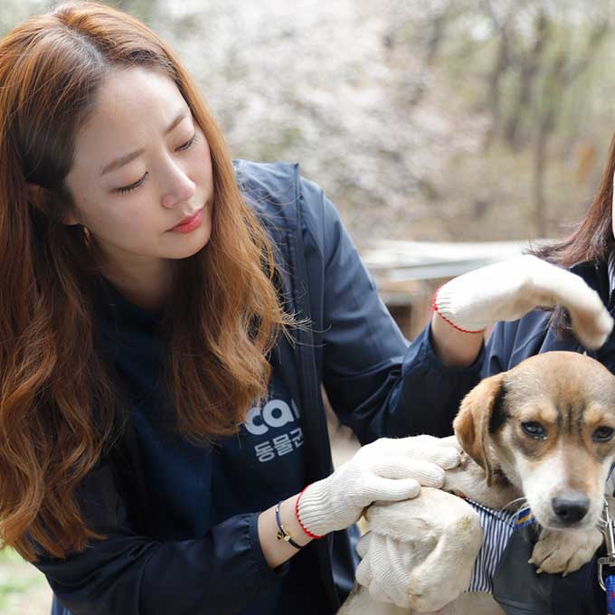 배우 김효진, 케어에 화보 수익금 전액 또 다시 기부