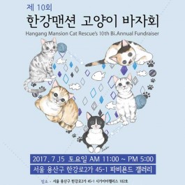 제10회 한강맨션 고양이 바자회, 야외에서도 진행