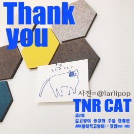 “도토, 힘내렴”, 제2회 TNR  CAT 캠페인 완료