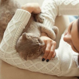 집사들이 고양이한테 배우는 6가지  삶의 지혜