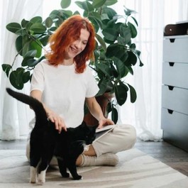 겁도 많고 수줍음도 많은 내향형 고양이와 친해지는 법 3