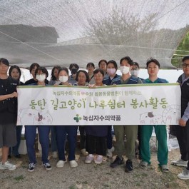 동탄 길고양이 나루쉼터 냥들, 수의사 진료 받다