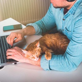 노트북 켜고 열일 중인 집사를 방해하는 고양이 유형 8