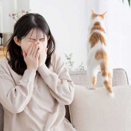 고양이 털 알레르기 어디까지 관리할 수 있을까? 피부염으로 외모까지 역변함