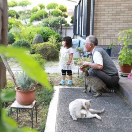 고양이 행복도를 체크해보자