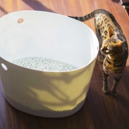 집사가 할 수 있는 '고양이 친화적인 화장실' 만드는 법 8
