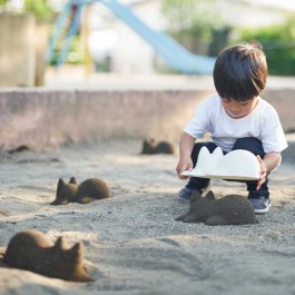 고양이가 세상을 치유한다