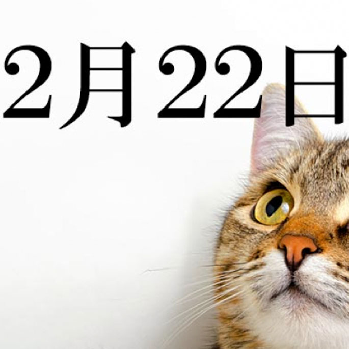2월, 일본은 고양들의 천국