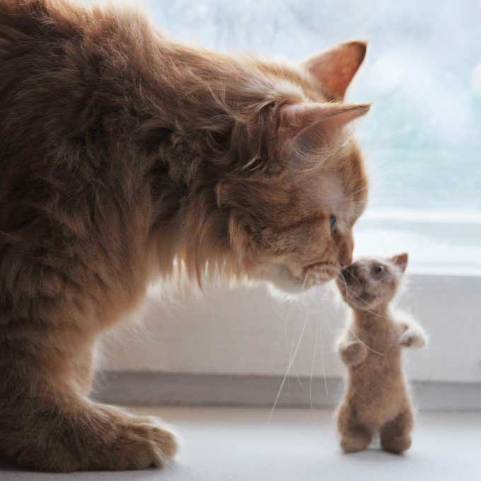 집사들의 고양이 사랑법 ③ - 빗질로 나온 털로 만든 반려묘 인형