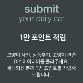 속닥속닥, 냥덕들의 이야기