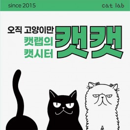 오직 고양이만! 캣랩의 프리미엄 캣시터, 캣캣