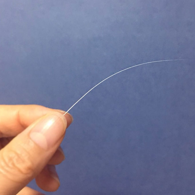 Q. 고양이 수염이 갑자기 많이 빠지는 이유 4