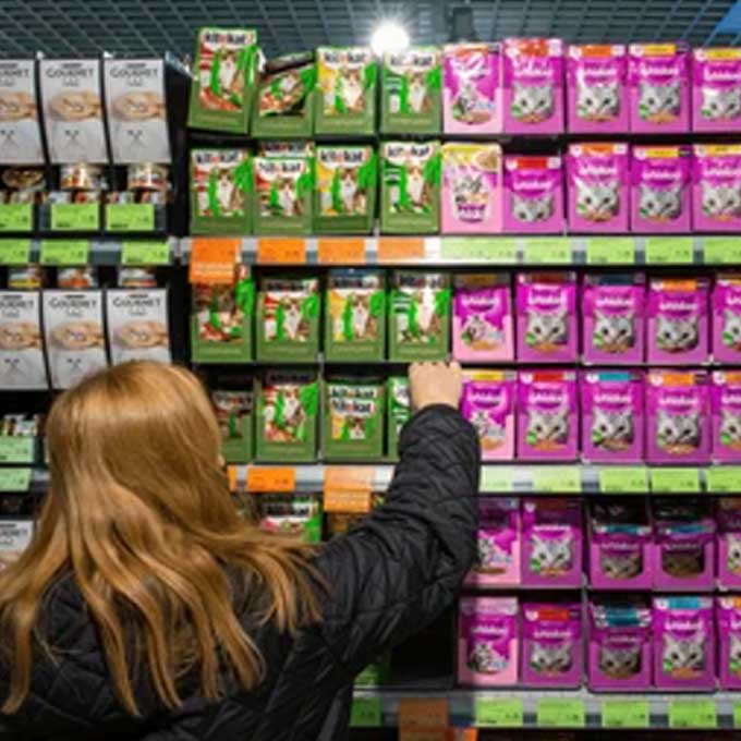 고양이 사료, 한 가지만 줘도 괜찮을까? 이것저것 줘도 될까?(2025년 업데이트)