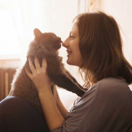 Q. 고양이가 핥아주는 집사 신체 부위에 따른 여섯가지 의미