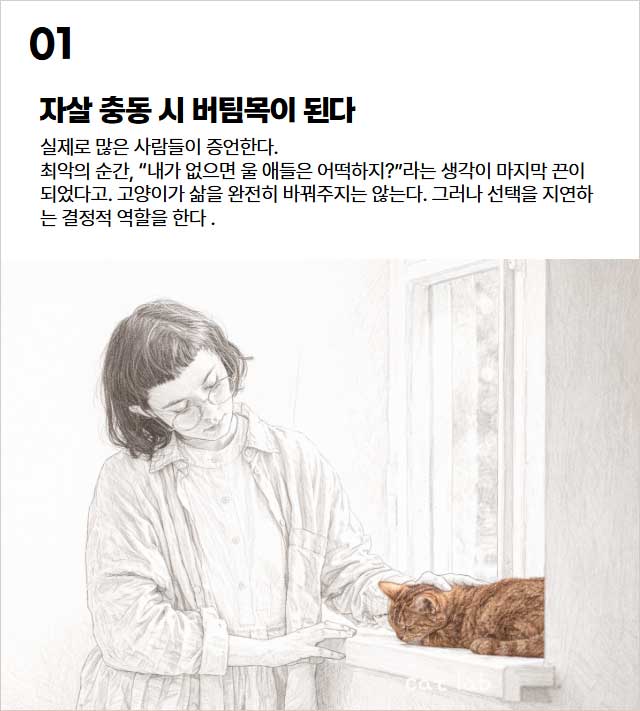 혼자 사는 우울증 환자에게 고양이가 도움이 될 수 있는 이유 6