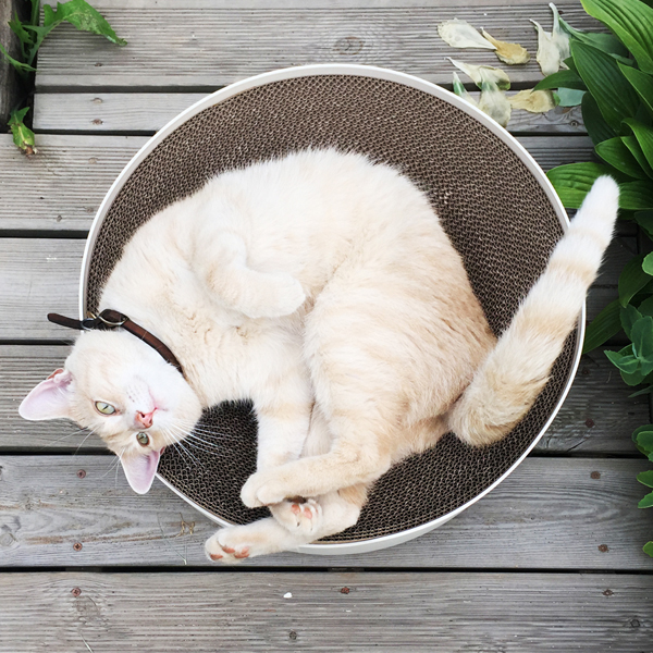 dd6a1820f41d0ac60cfeabeee281b017_1465831377_4877.jpg dd6a1820f41d0ac60cfeabeee281b017_1465831