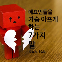 애묘인들을 가슴 아프게 하는 7가지