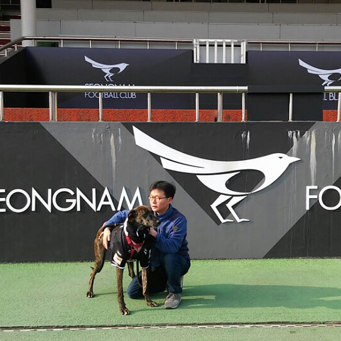 성남FC 유기견 비스켓 12번째 선수로 영입, 동물보호에 앞장서