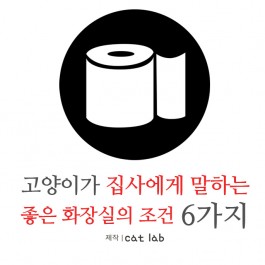 고양이가 집사에게 말하는 좋은 화장실 조건 6