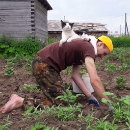 밭일하는 집사 돕는 게 일과라고 하는 러시아 냥님