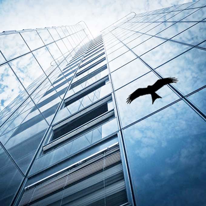 매년 800만 마리 조류가 희생…‘하늘의 로드킬’ 막는 KCC글라스의 ‘세이버즈’