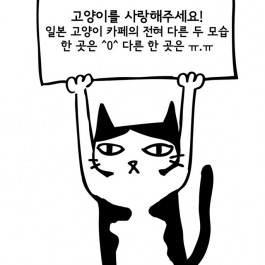 일본 고양이 카페의 전혀 다른 두 모습