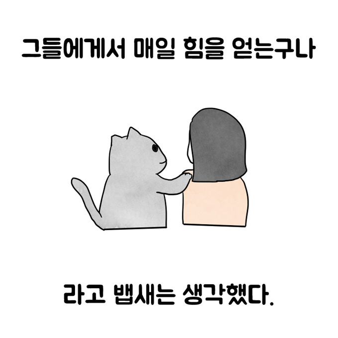 연희동 출장집사. 제19화 고양이 덕분에 시작