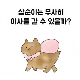 연희동 출장집사. 제18화 개포동 삼순이