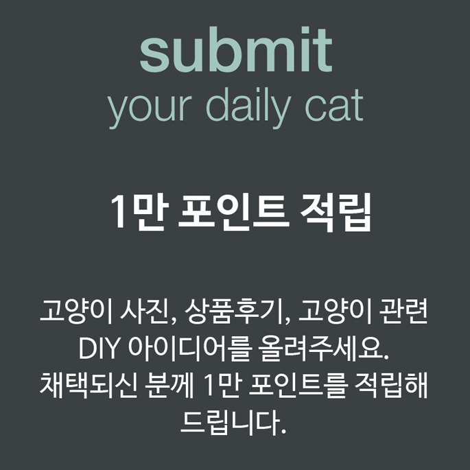 속닥속닥, 냥덕들의 이야기