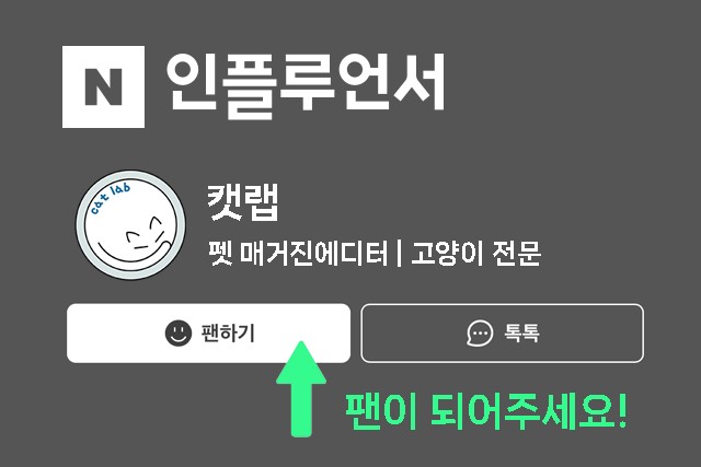 네이버 블로그 인플루언서 팬신청